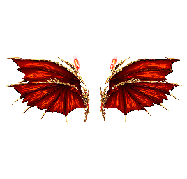 Wings of Angel and Devil